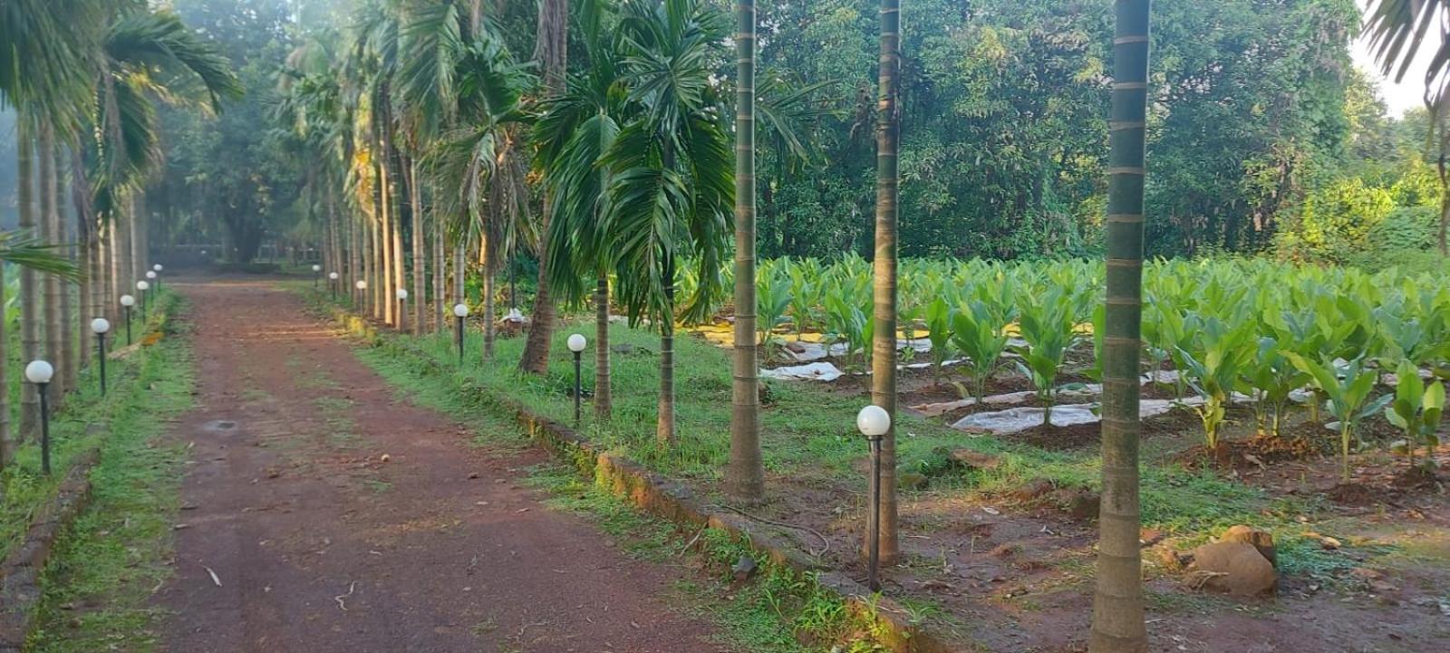 Red Roof Farmhouse Chiplun Luaran gambar