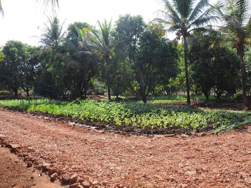 Red Roof Farmhouse Chiplun Luaran gambar