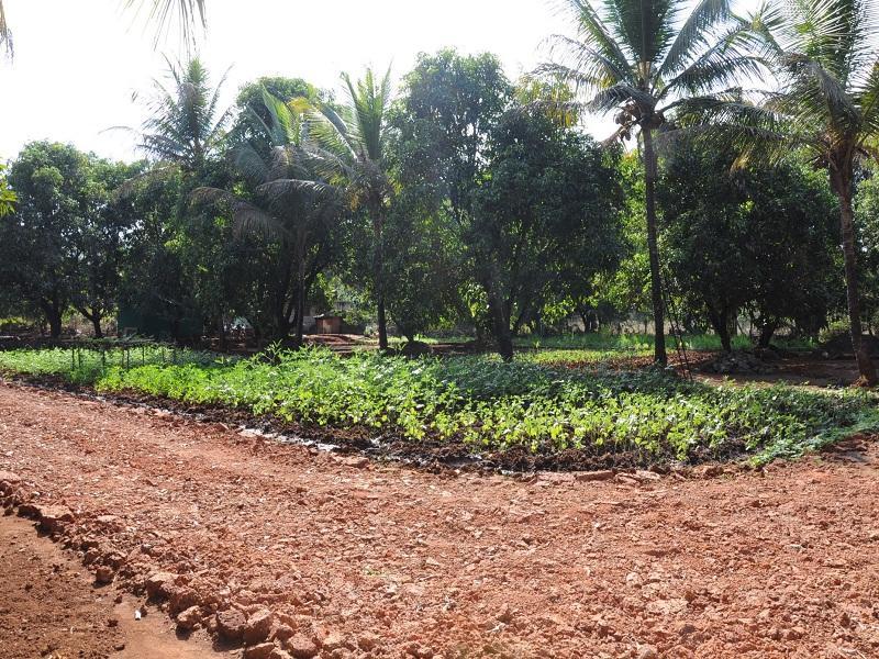 Red Roof Farmhouse Chiplun Luaran gambar